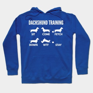 Dachshund Training Wiener Tricks Hoodie